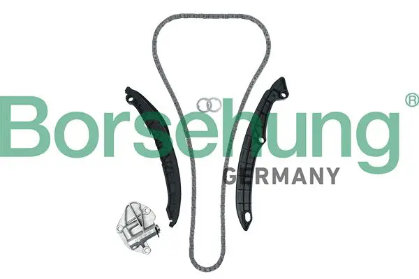 BORSEHUNG B19229 Комплект цепи ГРМ