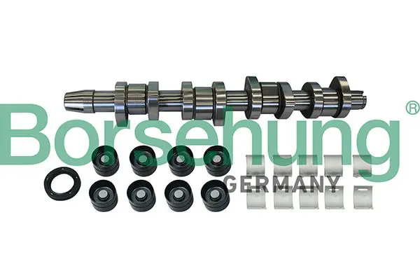 BORSEHUNG B11307 Ремкомплект для