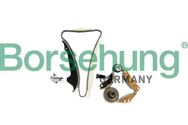 BORSEHUNG B10220 цепь грм (комплект)