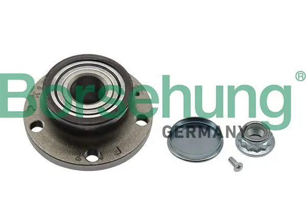 Borsehung B19236 ступица задняя с подшипником