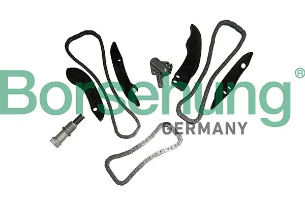 BORSEHUNG B19295 цепь грм (комплект)