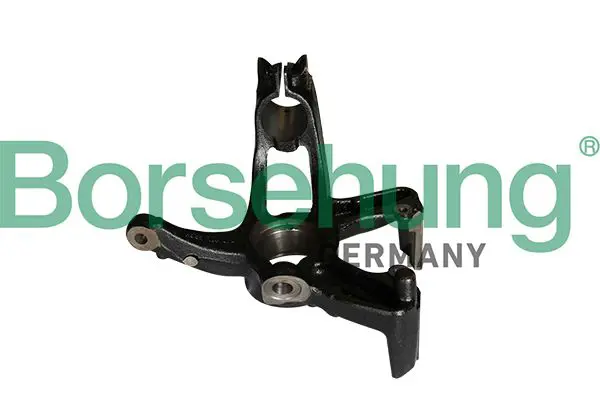 BORSEHUNG B12113 Кулак поворотный