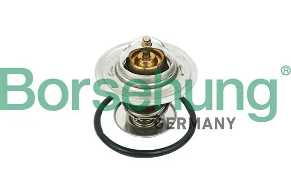 BORSEHUNG B18268 Термостат, охлаждающая