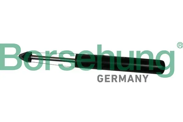 BORSEHUNG B19273 Амортизатор подвески