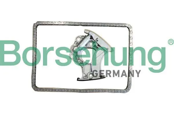 BORSEHUNG B10245 Комплект цепи ГРМ