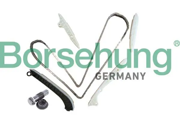 BORSEHUNG B10238 Комплект цепи ГРМ