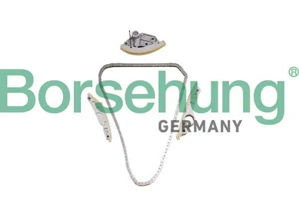 BORSEHUNG B10246 цепь грм (комплект)