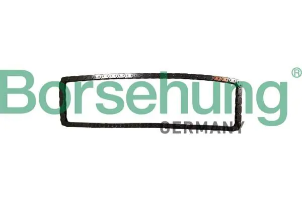 Borsehung B12783 Timing Chain