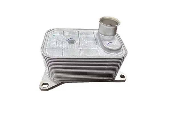 BORSEHUNG B10877 Радиатор масляный