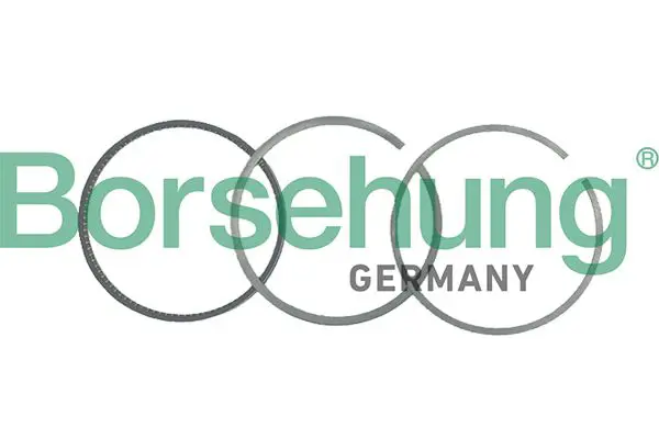 BORSEHUNG B19042 кольца поршневые (к-т на