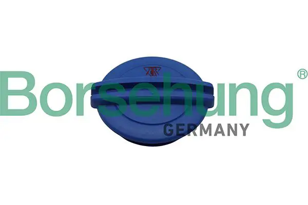 Borsehung B19281 Крышка бачка расширительного