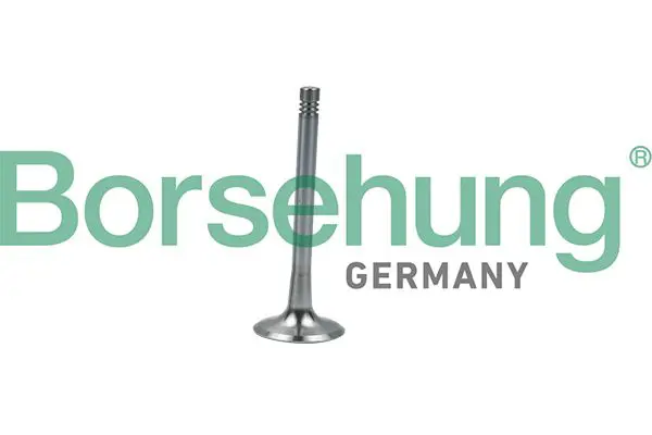 Borsehung B19008 клапан выпускной