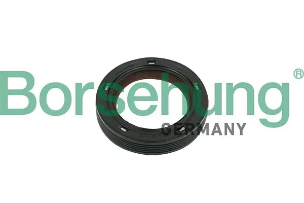 Borsehung B18729 Уплотняющее кольцо,