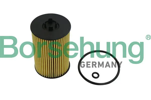 Borsehung B10532 Масляный фильтр
