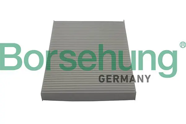 BORSEHUNG B10515 Фильтр, воздух во внутренном