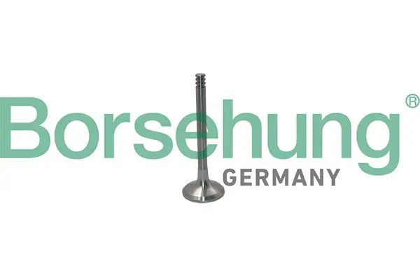 BORSEHUNG B19012 Выпускной клапан