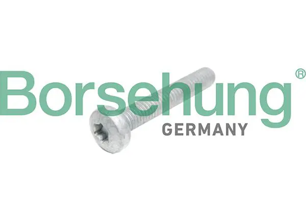 BORSEHUNG B10645 Болт крепежный