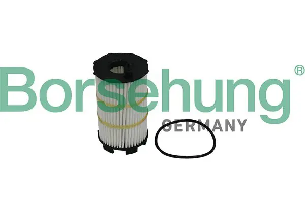 BORSEHUNG B10517 Фильтр масляный VW TOUA 11-18