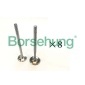 B18189 BORSEHUNG Клапан