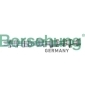 B12299 BORSEHUNG Вал распределительный