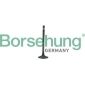 Borsehung B19006
