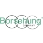 B19035 Borsehung кольца поршневые (к-т на