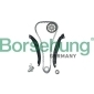 B16299 BORSEHUNG цепь грм (комплект) (BLF/BTS)