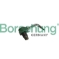 B11163 BORSEHUNG Форсунка масляная