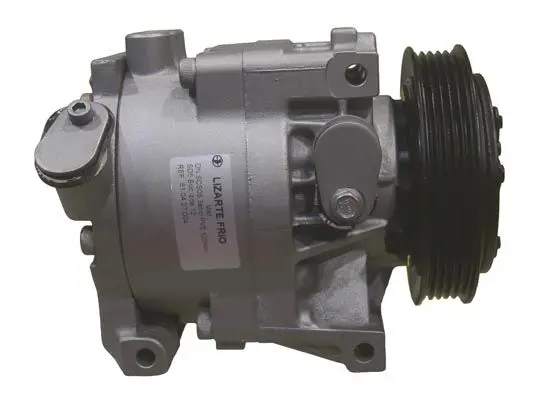 810407004 