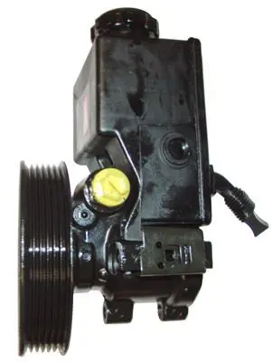 LIZARTE 440509021 Hydraulic Pump, steering