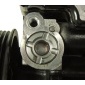 LIZARTE 441302001