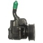 LIZARTE 44051242