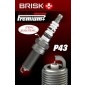 BRISK 2103
