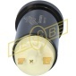 GEBE 960331
