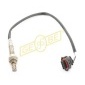 GEBE 970451