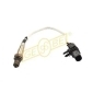 GEBE 971111