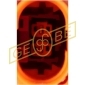 GEBE 981781