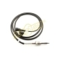 GEBE 980881