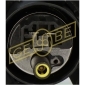 GEBE 960421