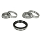 H11020BTA Комплект подшипника