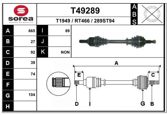 T49289 
