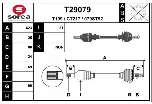 T29079 