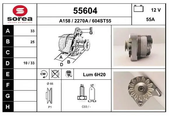 55604 