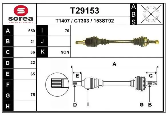 T29153 