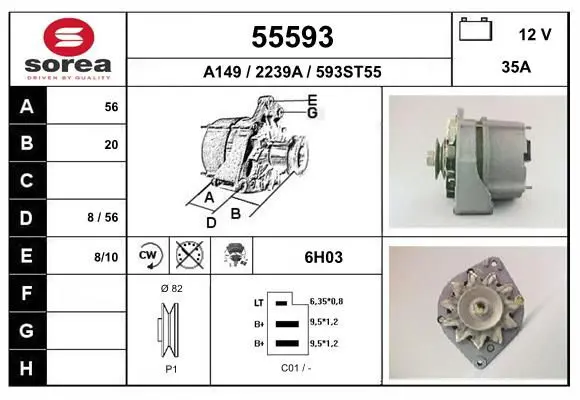 55593 