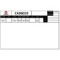 CA96019 