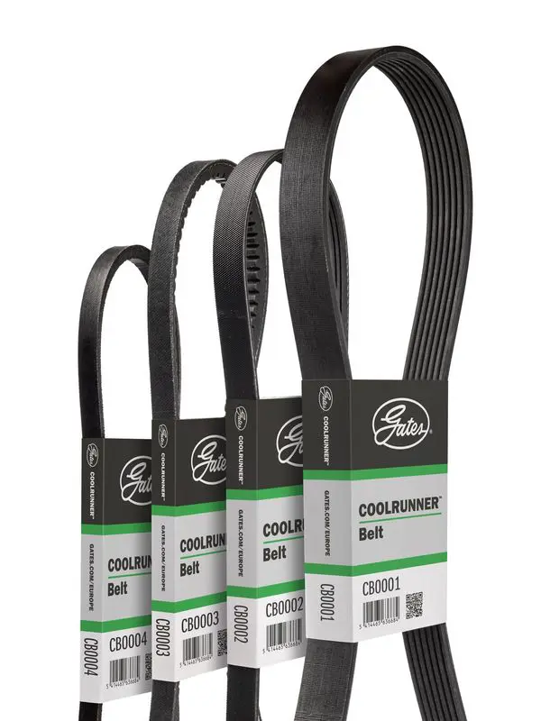 CB0003 Ремень поликлиновой 6PK1605