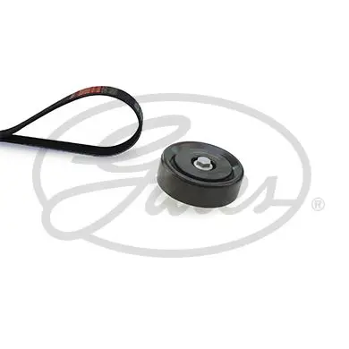 K036PK1255 Поликлиновой ременный комплект