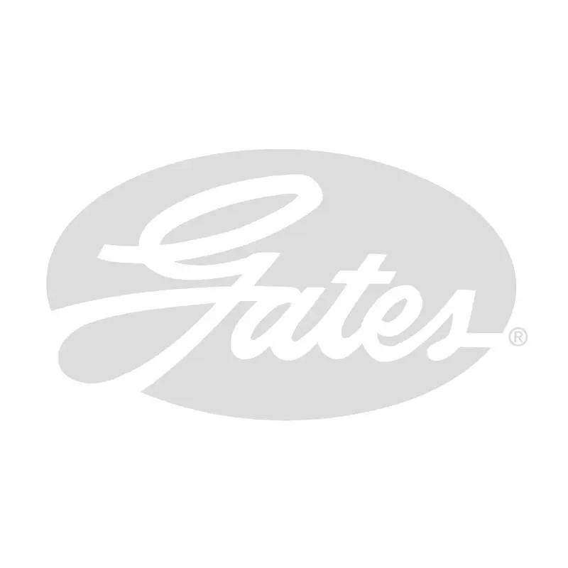 GATES T38644 Натяжитель