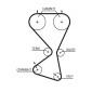 Gates K015556XS